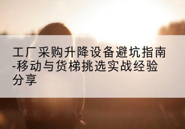 田东移动式升降机怎么选-工厂采购升降设备避坑指南-移动与货梯挑选实战经验分享