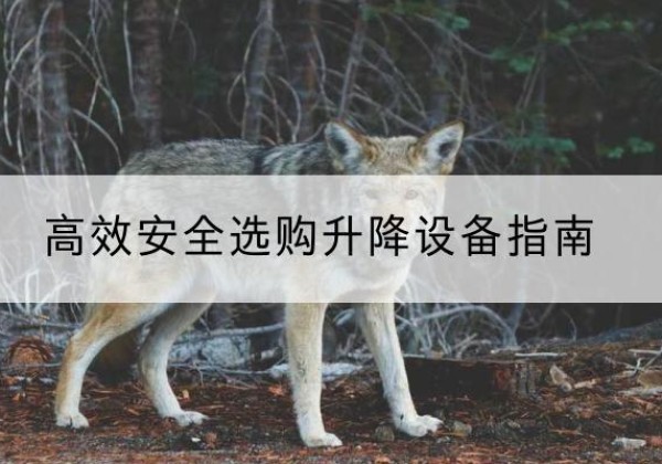 田东升降货梯厂家推荐-*安全选购升降设备指南