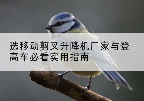 田东电动升降机厂家-选移动剪叉升降机厂家与登高车必看实用指南